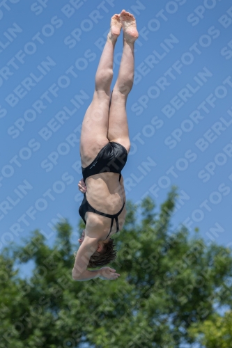 2017 - 8. Sofia Diving Cup 2017 - 8. Sofia Diving Cup 03012_01026.jpg