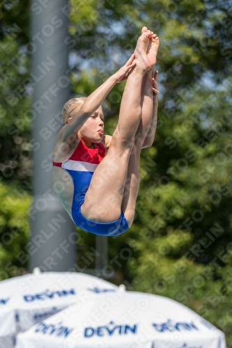 2017 - 8. Sofia Diving Cup 2017 - 8. Sofia Diving Cup 03012_01093.jpg