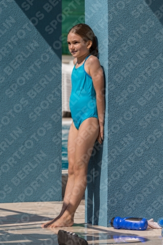 2017 - 8. Sofia Diving Cup 2017 - 8. Sofia Diving Cup 03012_01229.jpg