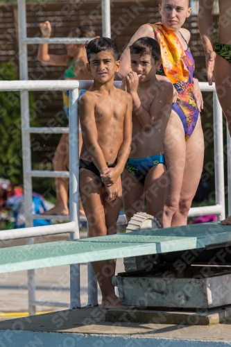 2017 - 8. Sofia Diving Cup 2017 - 8. Sofia Diving Cup 03012_01472.jpg
