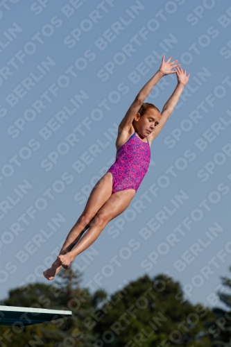 2017 - 8. Sofia Diving Cup 2017 - 8. Sofia Diving Cup 03012_01530.jpg