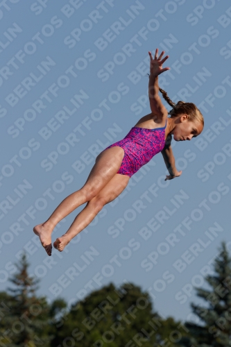 2017 - 8. Sofia Diving Cup 2017 - 8. Sofia Diving Cup 03012_01532.jpg