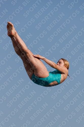 2017 - 8. Sofia Diving Cup 2017 - 8. Sofia Diving Cup 03012_01560.jpg