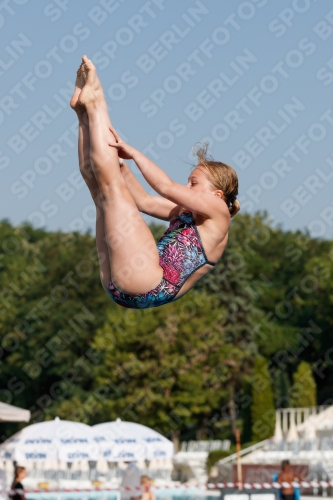 2017 - 8. Sofia Diving Cup 2017 - 8. Sofia Diving Cup 03012_01635.jpg