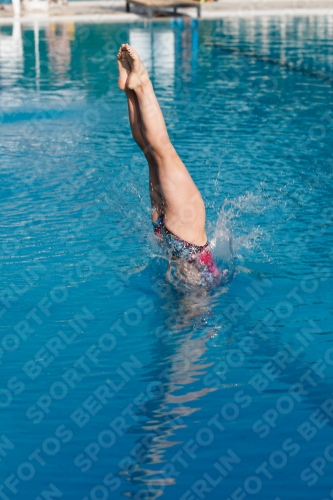 2017 - 8. Sofia Diving Cup 2017 - 8. Sofia Diving Cup 03012_01638.jpg