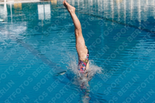2017 - 8. Sofia Diving Cup 2017 - 8. Sofia Diving Cup 03012_01767.jpg