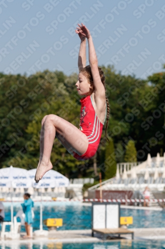 2017 - 8. Sofia Diving Cup 2017 - 8. Sofia Diving Cup 03012_01796.jpg