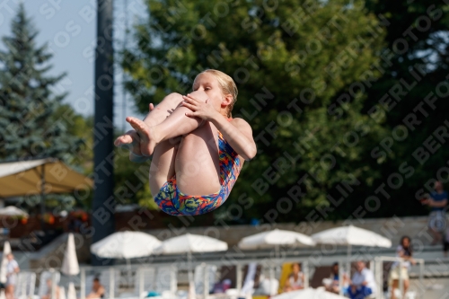2017 - 8. Sofia Diving Cup 2017 - 8. Sofia Diving Cup 03012_01853.jpg