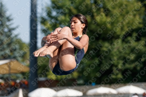 2017 - 8. Sofia Diving Cup 2017 - 8. Sofia Diving Cup 03012_01879.jpg