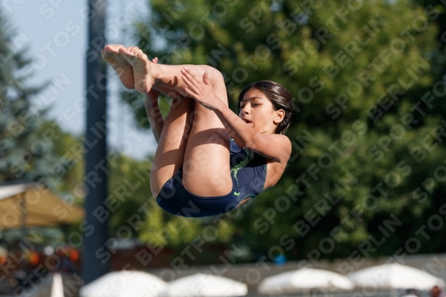 2017 - 8. Sofia Diving Cup 2017 - 8. Sofia Diving Cup 03012_01880.jpg