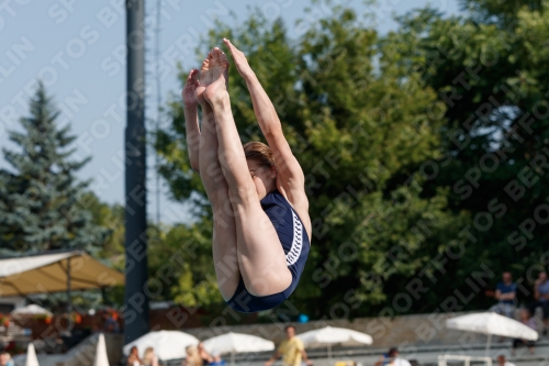 2017 - 8. Sofia Diving Cup 2017 - 8. Sofia Diving Cup 03012_01923.jpg