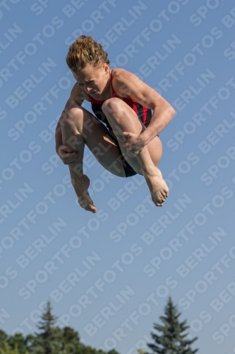 2017 - 8. Sofia Diving Cup 2017 - 8. Sofia Diving Cup 03012_02138.jpg
