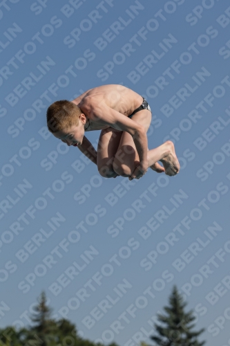 2017 - 8. Sofia Diving Cup 2017 - 8. Sofia Diving Cup 03012_02150.jpg