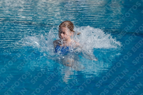 2017 - 8. Sofia Diving Cup 2017 - 8. Sofia Diving Cup 03012_02193.jpg