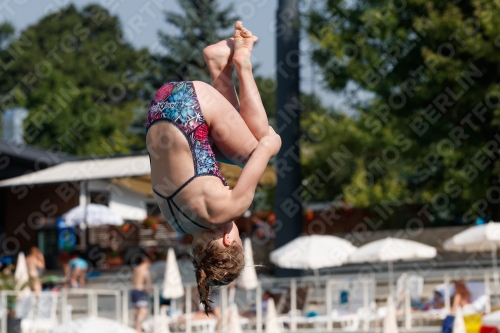 2017 - 8. Sofia Diving Cup 2017 - 8. Sofia Diving Cup 03012_02220.jpg