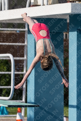 2017 - 8. Sofia Diving Cup 2017 - 8. Sofia Diving Cup 03012_02296.jpg