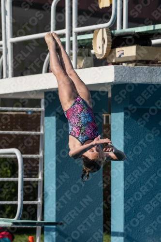 2017 - 8. Sofia Diving Cup 2017 - 8. Sofia Diving Cup 03012_02302.jpg