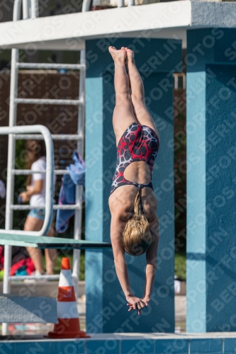 2017 - 8. Sofia Diving Cup 2017 - 8. Sofia Diving Cup 03012_02322.jpg