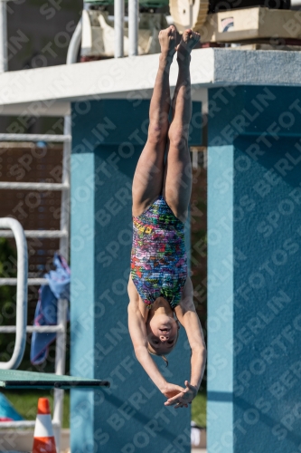 2017 - 8. Sofia Diving Cup 2017 - 8. Sofia Diving Cup 03012_02327.jpg