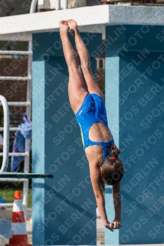 2017 - 8. Sofia Diving Cup 2017 - 8. Sofia Diving Cup 03012_02341.jpg