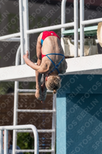 2017 - 8. Sofia Diving Cup 2017 - 8. Sofia Diving Cup 03012_02352.jpg
