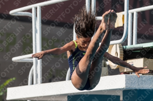 2017 - 8. Sofia Diving Cup 2017 - 8. Sofia Diving Cup 03012_02381.jpg