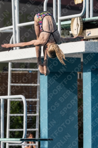 2017 - 8. Sofia Diving Cup 2017 - 8. Sofia Diving Cup 03012_02404.jpg