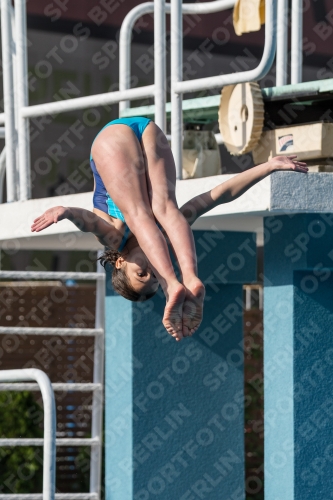 2017 - 8. Sofia Diving Cup 2017 - 8. Sofia Diving Cup 03012_02413.jpg