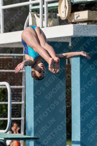 2017 - 8. Sofia Diving Cup 2017 - 8. Sofia Diving Cup 03012_02414.jpg