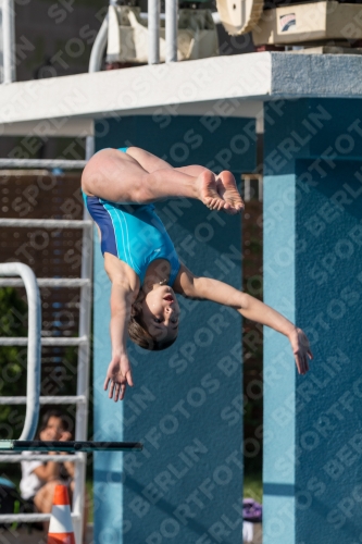 2017 - 8. Sofia Diving Cup 2017 - 8. Sofia Diving Cup 03012_02415.jpg
