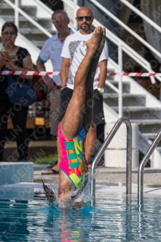 2017 - 8. Sofia Diving Cup 2017 - 8. Sofia Diving Cup 03012_02446.jpg