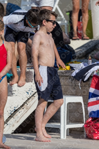 2017 - 8. Sofia Diving Cup 2017 - 8. Sofia Diving Cup 03012_02472.jpg