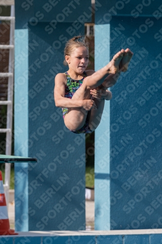 2017 - 8. Sofia Diving Cup 2017 - 8. Sofia Diving Cup 03012_02493.jpg