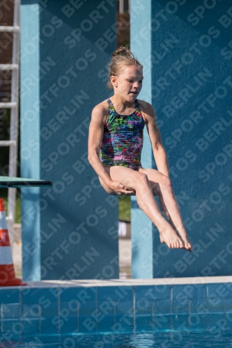 2017 - 8. Sofia Diving Cup 2017 - 8. Sofia Diving Cup 03012_02494.jpg