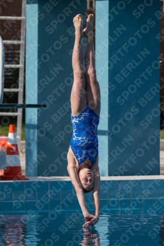2017 - 8. Sofia Diving Cup 2017 - 8. Sofia Diving Cup 03012_02558.jpg