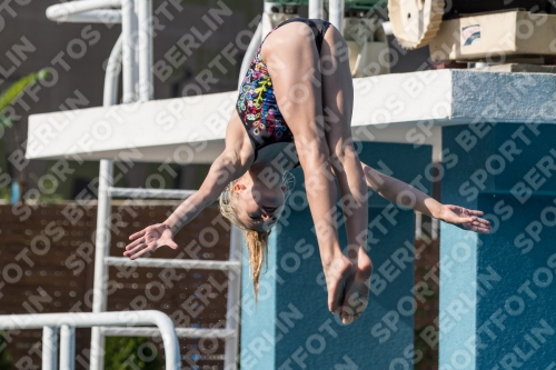 2017 - 8. Sofia Diving Cup 2017 - 8. Sofia Diving Cup 03012_02563.jpg