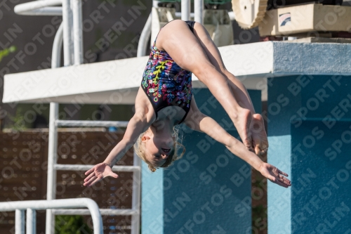 2017 - 8. Sofia Diving Cup 2017 - 8. Sofia Diving Cup 03012_02564.jpg