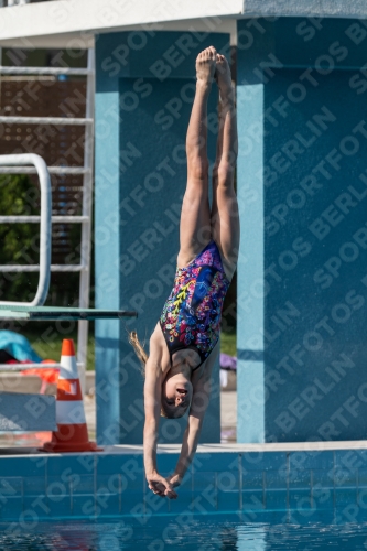 2017 - 8. Sofia Diving Cup 2017 - 8. Sofia Diving Cup 03012_02566.jpg