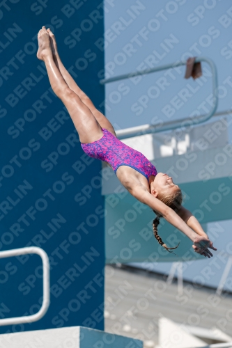 2017 - 8. Sofia Diving Cup 2017 - 8. Sofia Diving Cup 03012_02595.jpg
