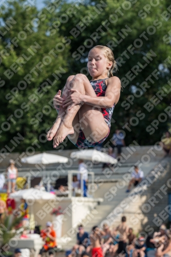 2017 - 8. Sofia Diving Cup 2017 - 8. Sofia Diving Cup 03012_02617.jpg