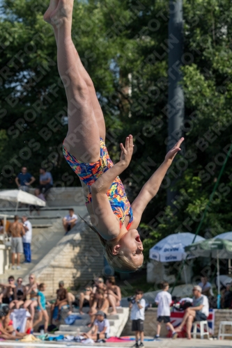2017 - 8. Sofia Diving Cup 2017 - 8. Sofia Diving Cup 03012_02695.jpg
