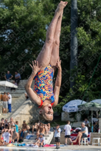 2017 - 8. Sofia Diving Cup 2017 - 8. Sofia Diving Cup 03012_02696.jpg