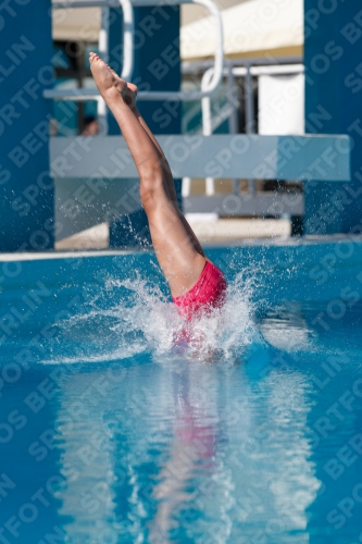 2017 - 8. Sofia Diving Cup 2017 - 8. Sofia Diving Cup 03012_02714.jpg