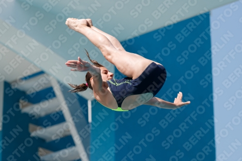 2017 - 8. Sofia Diving Cup 2017 - 8. Sofia Diving Cup 03012_02726.jpg