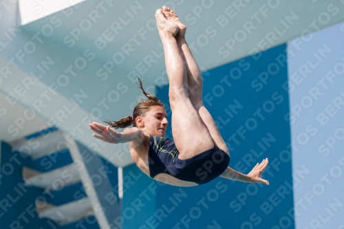 2017 - 8. Sofia Diving Cup 2017 - 8. Sofia Diving Cup 03012_02727.jpg