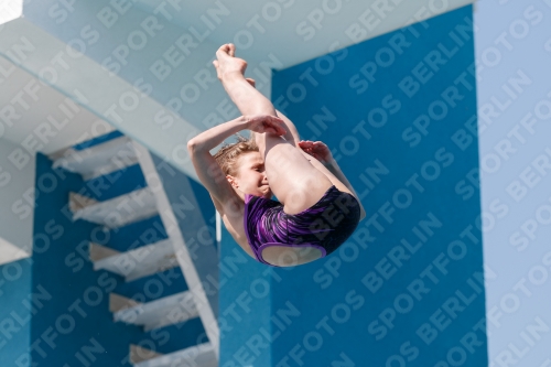 2017 - 8. Sofia Diving Cup 2017 - 8. Sofia Diving Cup 03012_02774.jpg