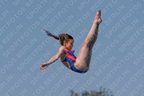 2017 - 8. Sofia Diving Cup 2017 - 8. Sofia Diving Cup 03012_02797.jpg