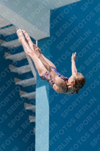 2017 - 8. Sofia Diving Cup 2017 - 8. Sofia Diving Cup 03012_02823.jpg