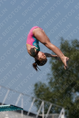 2017 - 8. Sofia Diving Cup 2017 - 8. Sofia Diving Cup 03012_02855.jpg