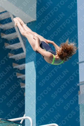 2017 - 8. Sofia Diving Cup 2017 - 8. Sofia Diving Cup 03012_02955.jpg